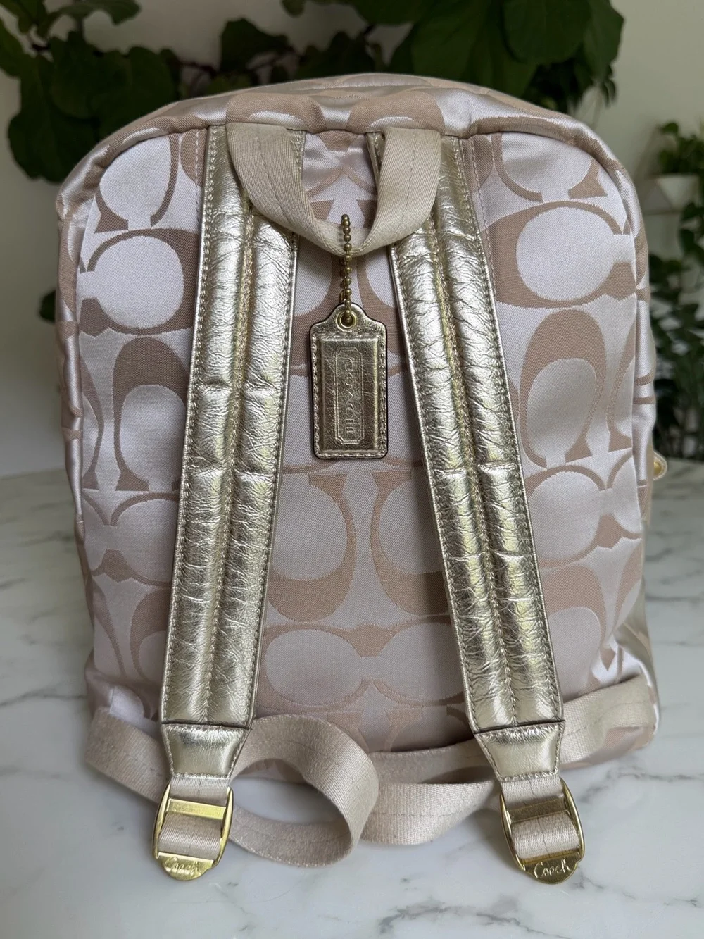 Coach Poppy Signature Graffiti Appliqué Backpack & Wallet Set Khaki Gold Multi